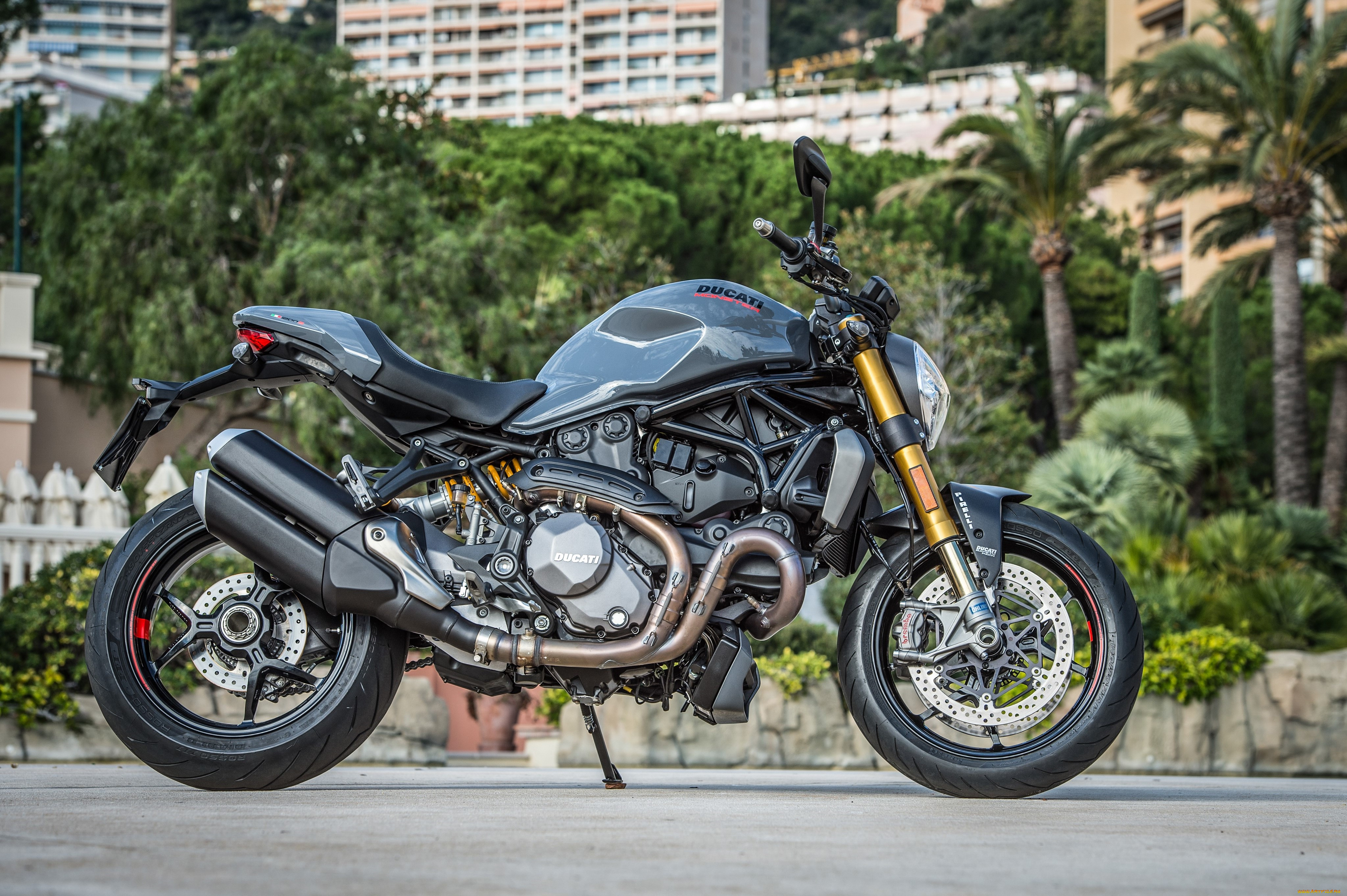 , ducati